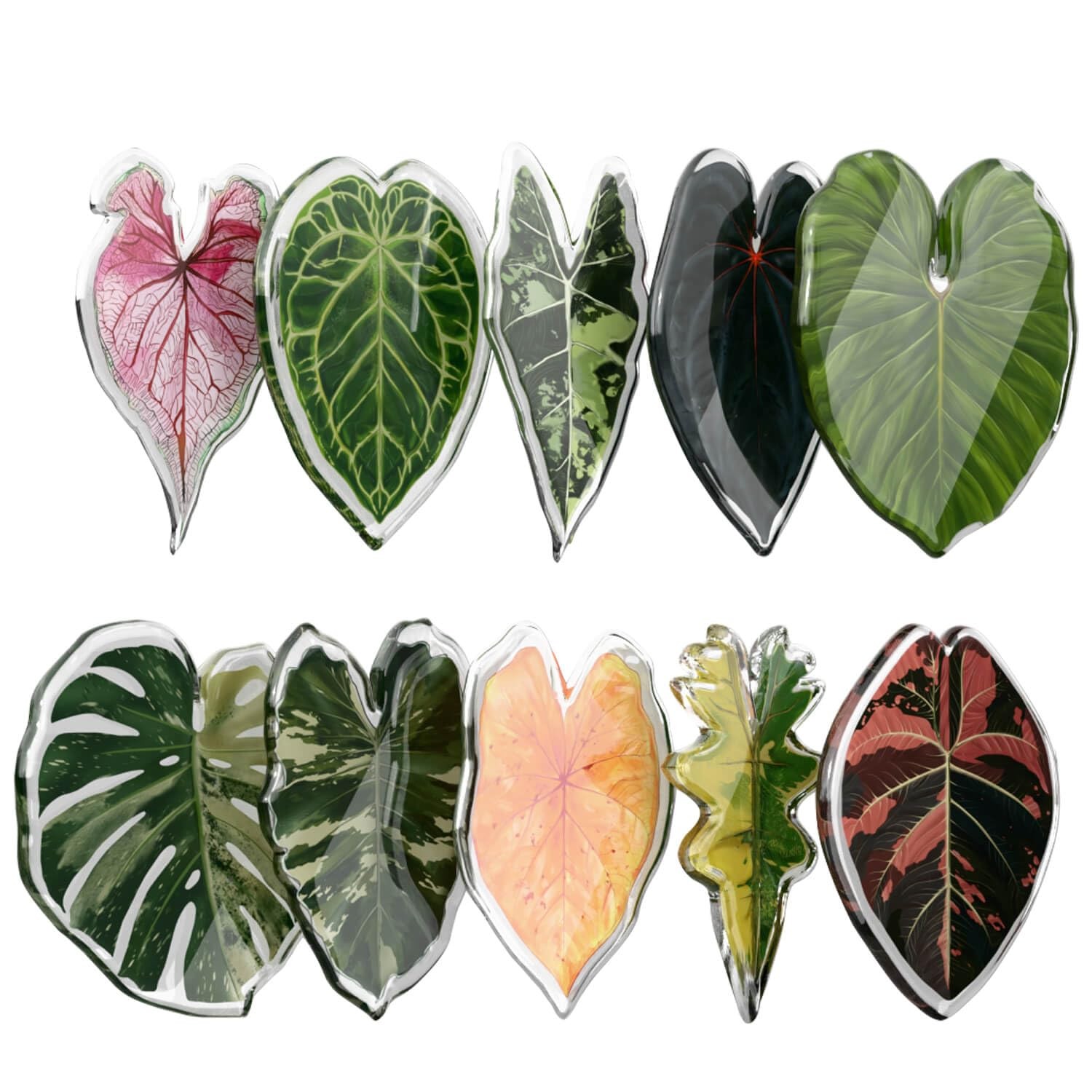 Fridge Magnets Cute Refrigerator Magnets, Plants Leaf Kitchen Magnets, Ideal