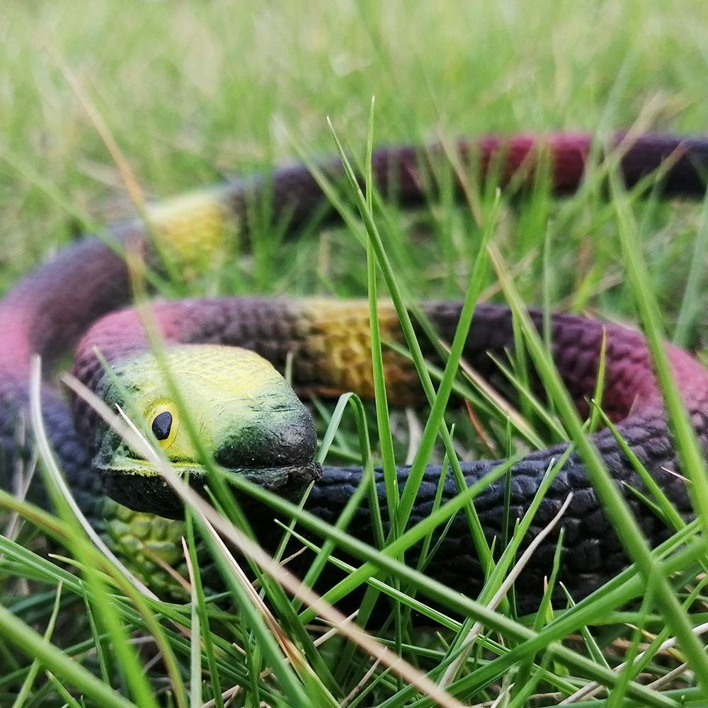 Rubber Snakes to Keep Birds Away,4 Pieces 29 Inch Realistic Rubber Snakes, Pr…