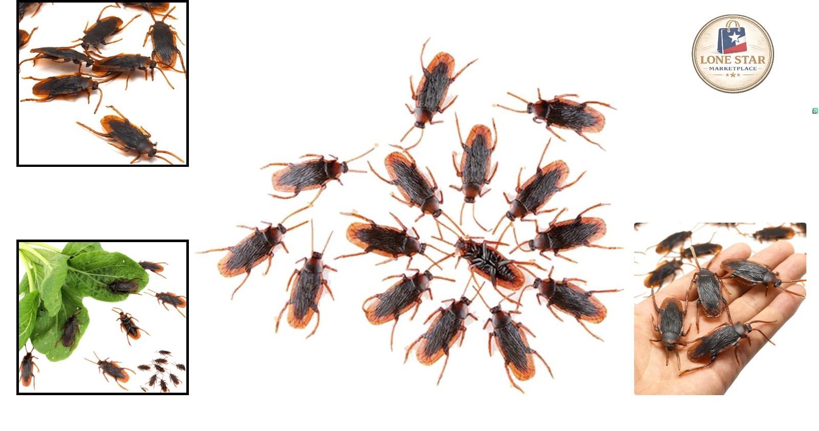 Ultimate Pack of 50 Fake Cockroaches – Perfect for Halloween and Pranks