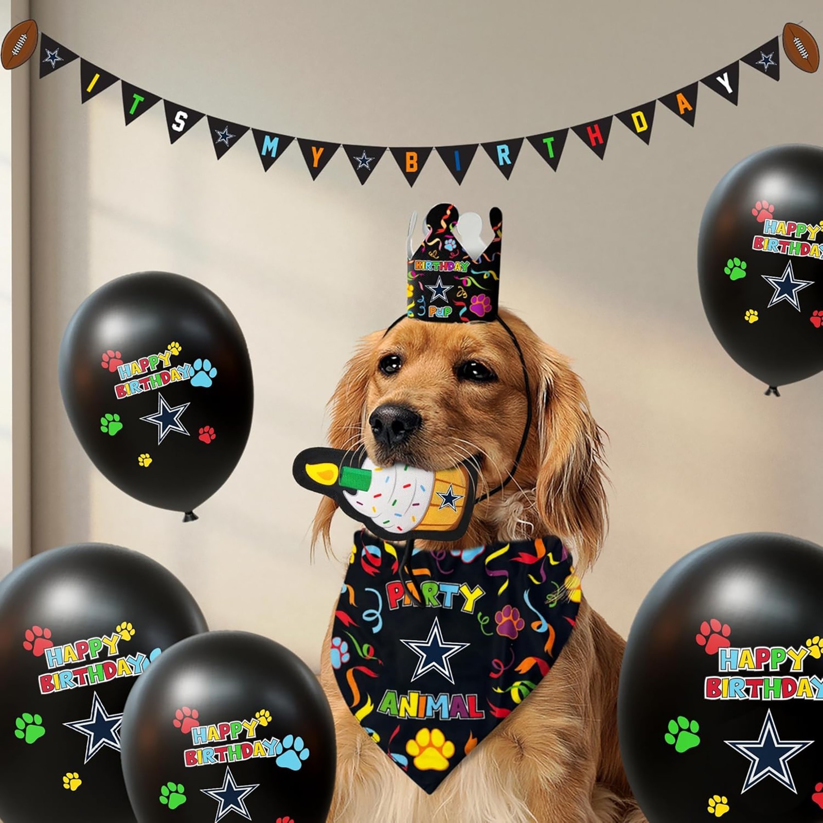 NFL Dallas Cowboys Dog/Cat Birthday Party Set Balloon Bandana Cake Toy Banner Ha