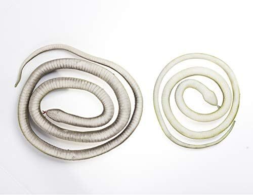 3 Pack Realistic Rubber Snakes for Garden Props Birds Squirrels Mice Scare Toy