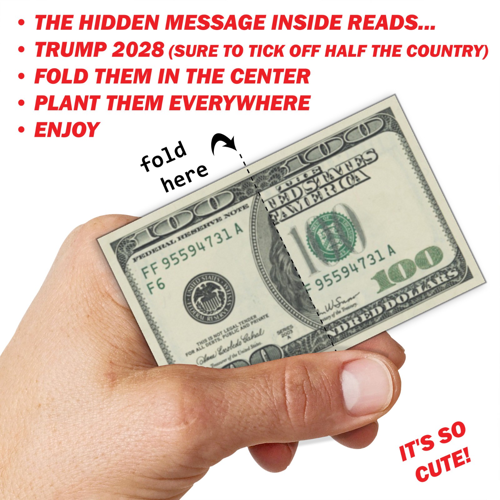 50 Pack Trump 2028 Fake Prank 100 Dollar Bills Money! Troll Everyone Today!