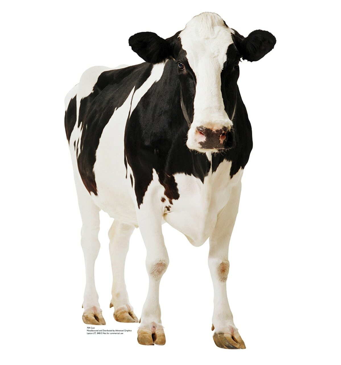 Cow Stand Up Party Decoration Farm Animal Lifesize Cardboard Cutout Farmer Party