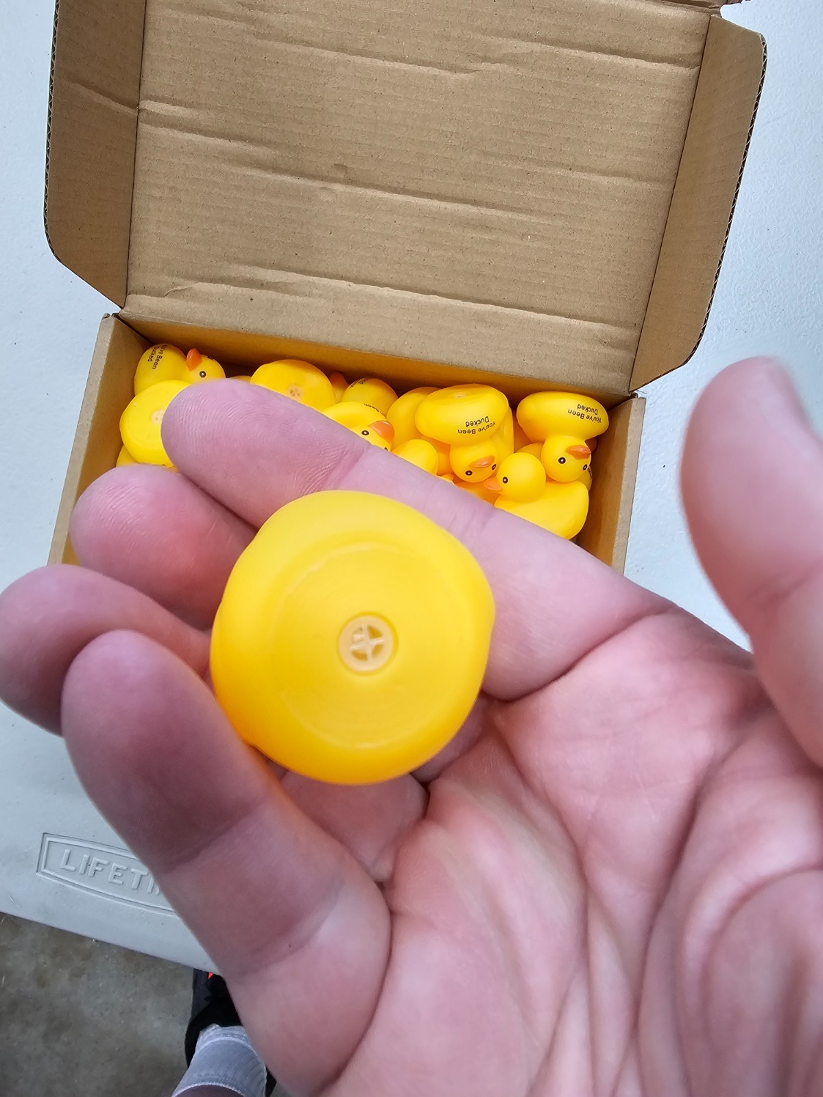 Large Lot of Small Squeaker Ducks Ducking Jeeps Jeep – Fast US Shipping
