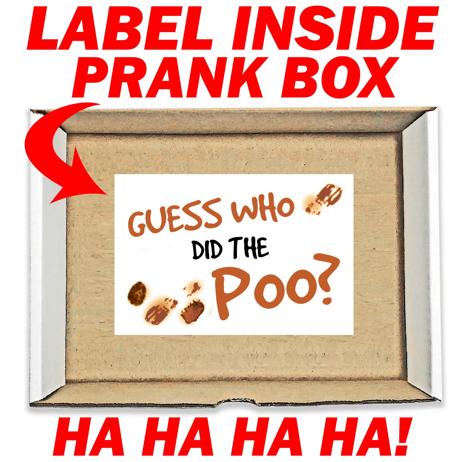 Massive Dump Who Did The Poo Prank Mail Sent Anonymously!