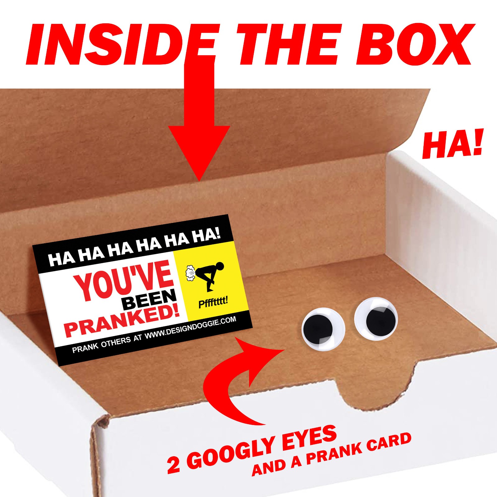 Earthquake Detector Kit Googly Eyes Prank Mail Sent for Sheer Laughter!