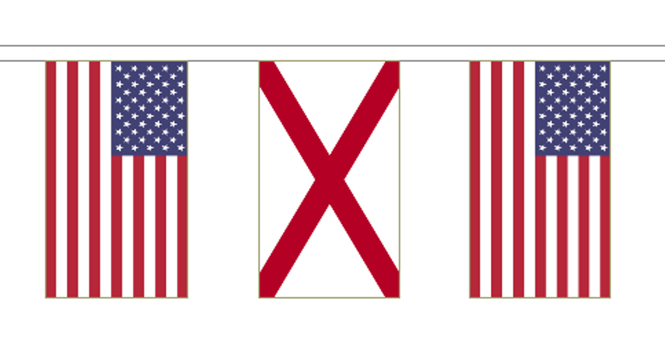 USA & US State Friendship Flag Bunting – 20m With 56 Flags – All 50 States