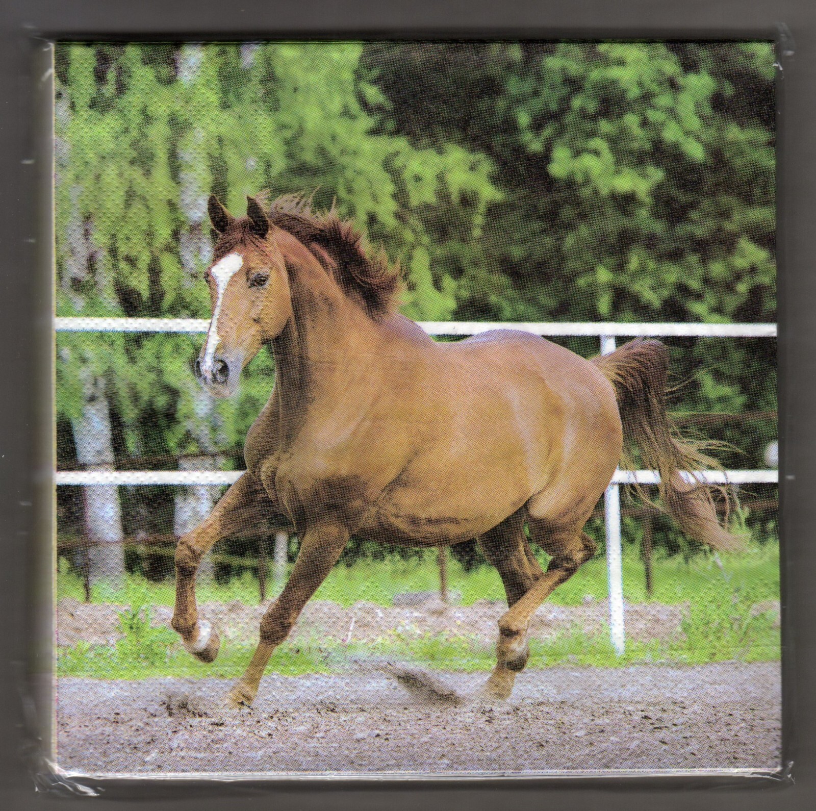 Brown Horse Party Napkins, One Pack, Kentucky Derby, Luncheon Size Any Occasion