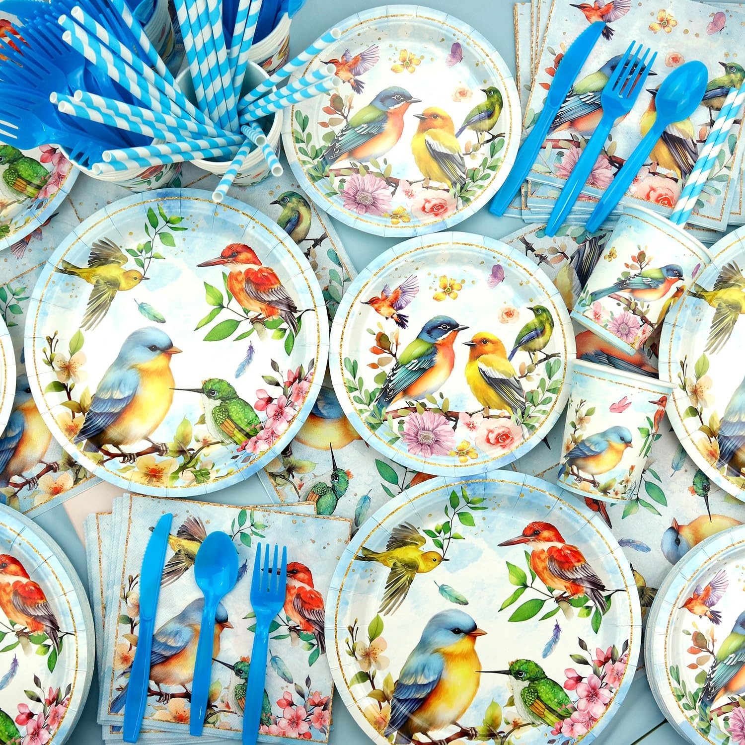 Bird Theme Party Supplies Set – Birthday Backdrop, Plates, Cups, Tablecloth, Bal