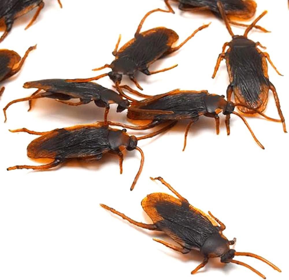 Ultimate Pack of 50 Fake Cockroaches – Perfect for Halloween and Pranks