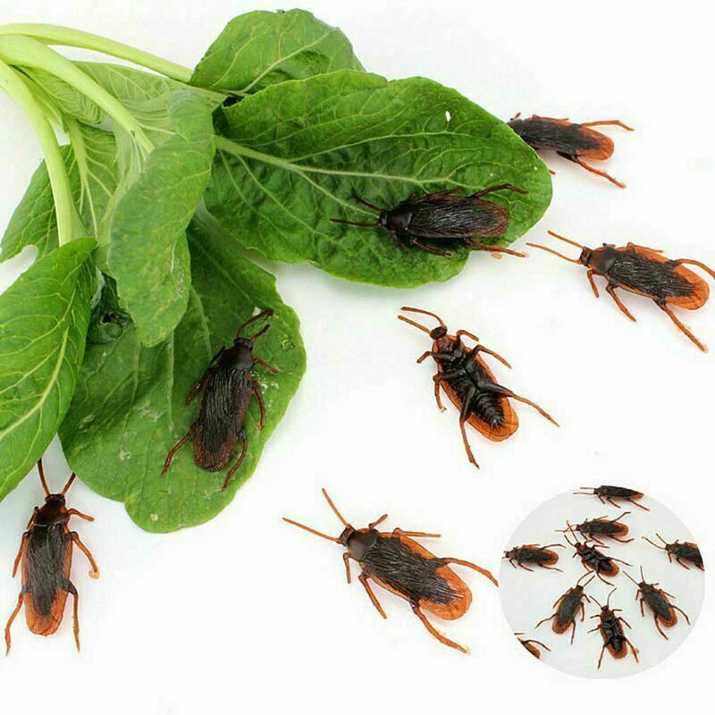 20PCS Rubber Cockroaches Realistic Cock Roach Rubber Fake Creepy Bugs Gag Toy US