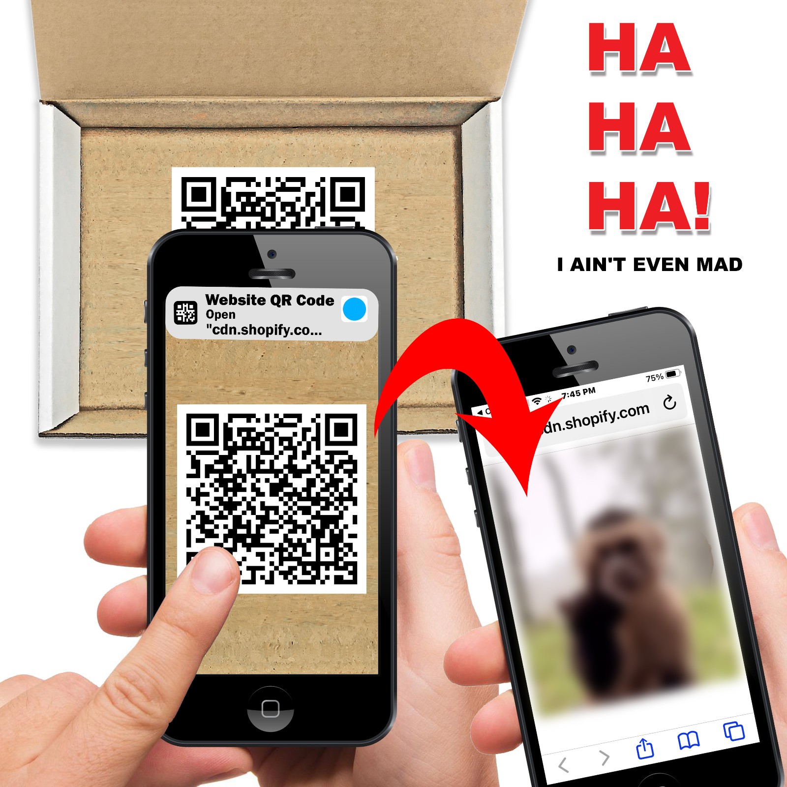 QR Code Monkey Middle Finger Surprise Prank Mail Sent Anonymously!