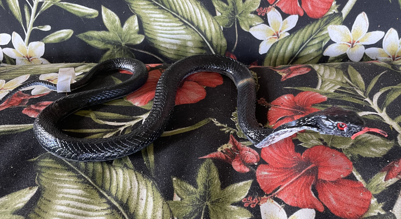 Cobra Snake Replica – AAA – Small – Choice of 4 Varieties