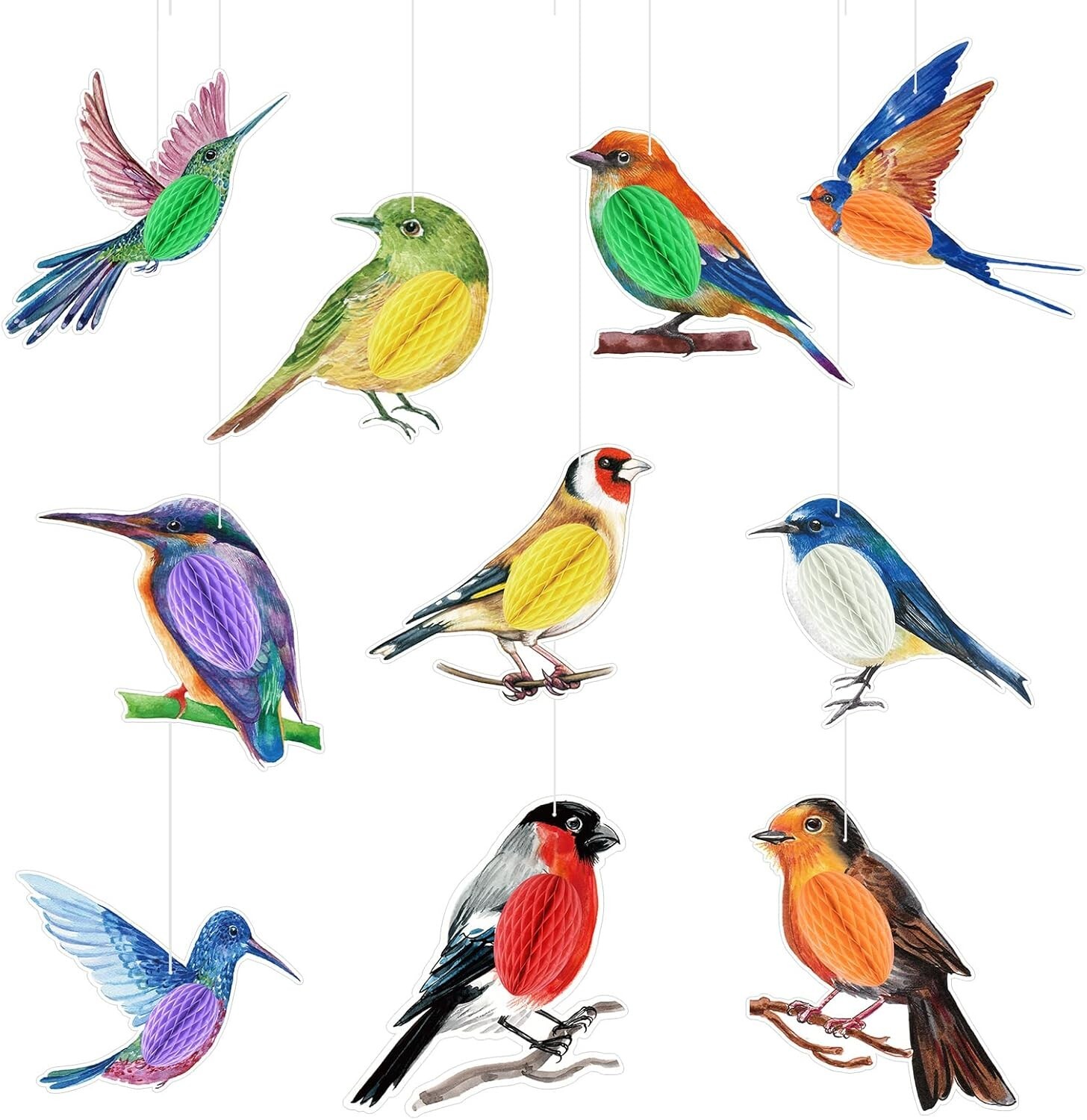 10 Tropical Birds Honeycomb Cutouts, Luau Party Decor-Tiki Party Colombian party