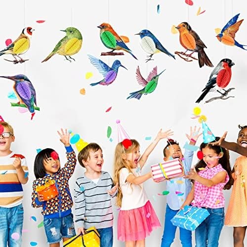 10 Pcs Bird Party Decorations Tropical Bird Honeycomb Paper Cutouts Jungle Rainf