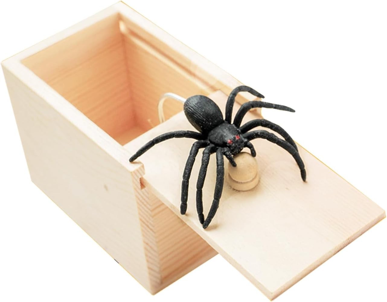 Rubber Spider Prank Box Handcrafted Wooden Surprise Money Surprise in a Box