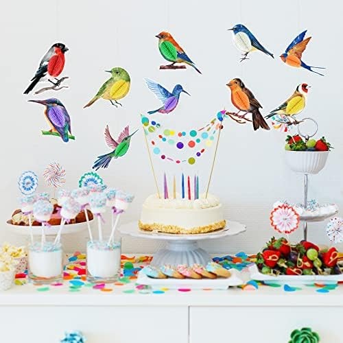10 Pcs Bird Party Decorations Tropical Bird Honeycomb Paper Cutouts Jungle Rainf