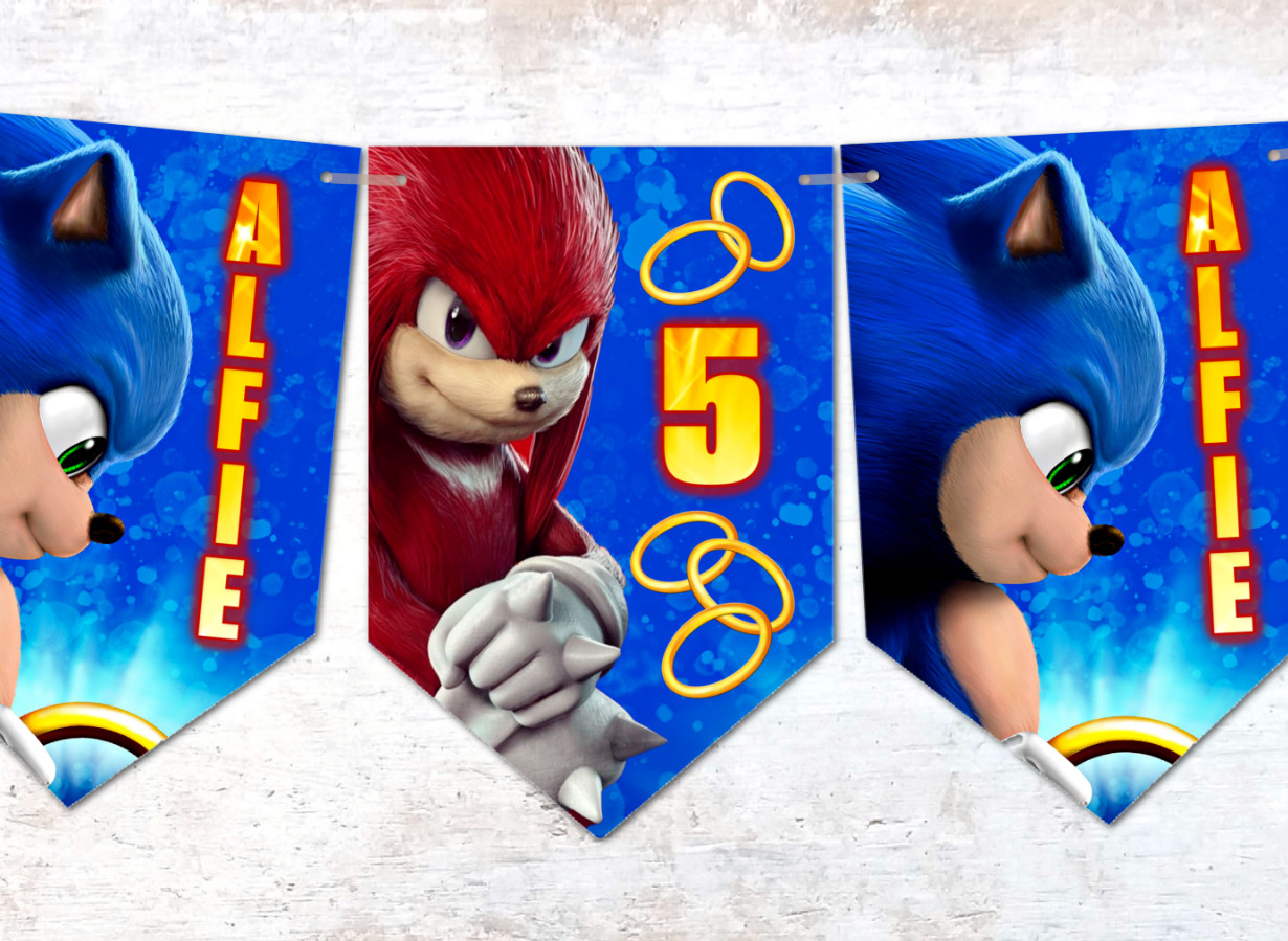 Personalised Sonic the Hedgehog and Knuckles Bunting Party Room Decoration