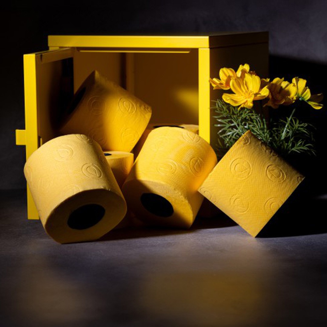 Renova Colored Toilet Paper Gift Box – 3 Rolls, 3-Ply, 140 Quality Sheets/Roll