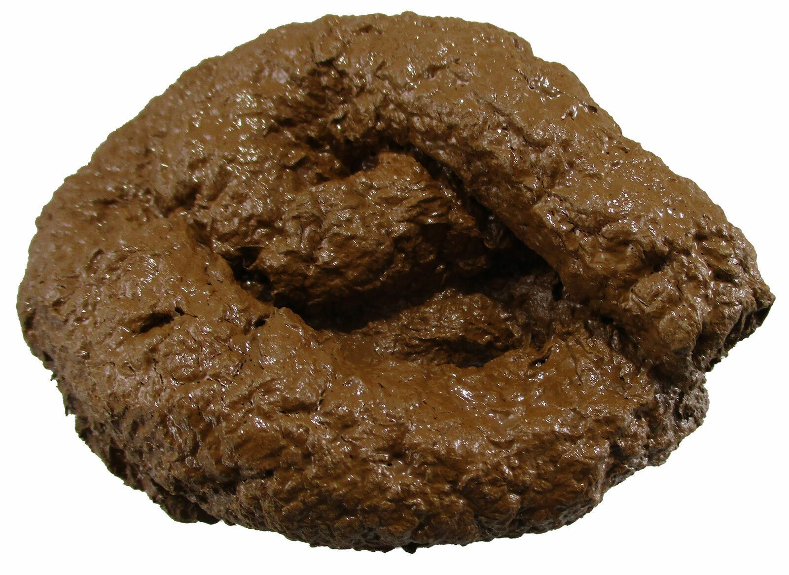 PREMIUM Fake Dog Poop Doggie Poo Realistic Doggy Doo Doo Dirt Joke Gag Crap Pile
