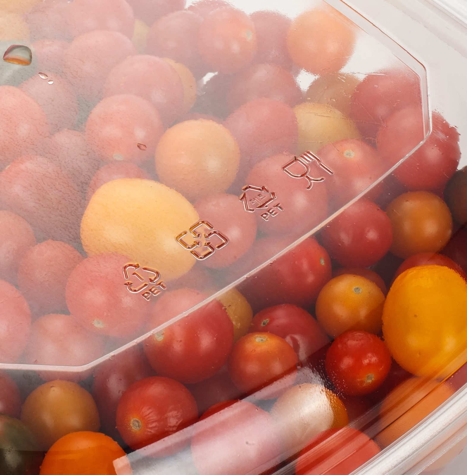 160oz5sets Disposable Plastic Serving Square Bowls With LidsLarge Clear Plastic