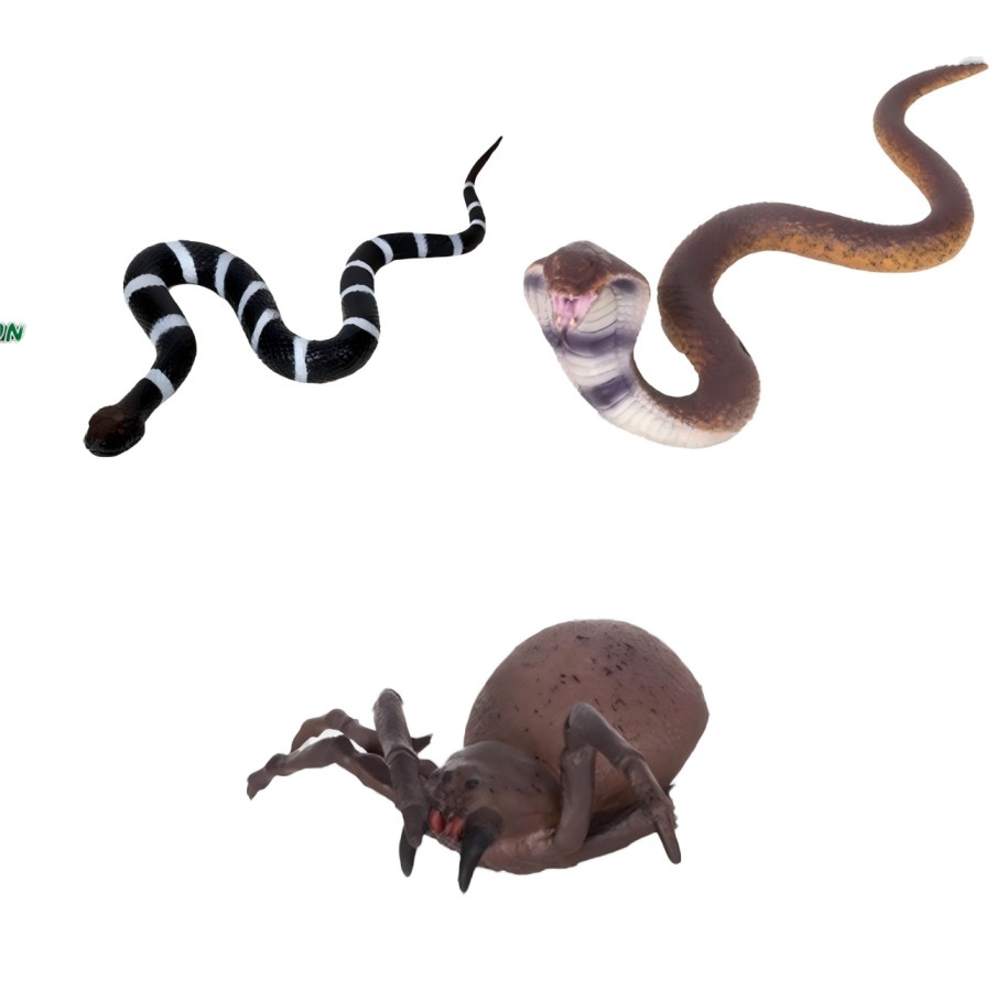 Realistic Rubber Snake & Spider Toy Set, Creepy Prank Props