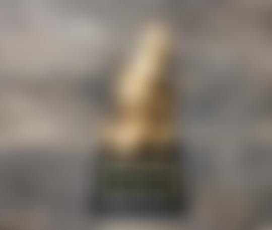 Inappropriate Penis Trophy WANKER Award Funny Loser Trophy Adult Humor Gag Gift