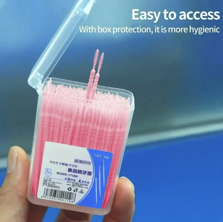 100pcs Double-Ended Disposable Toothpicks Portable Fruit Pick Set – NEW
