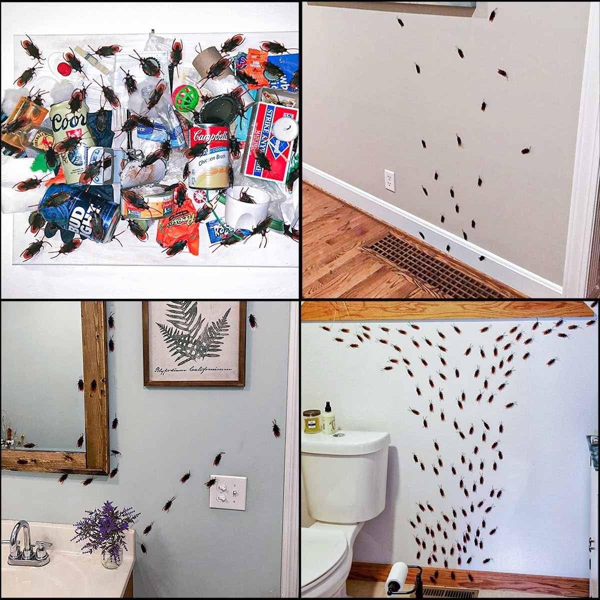 15 Realistic Fake Cockroaches for Pranks – Perfect for Halloween and Parties
