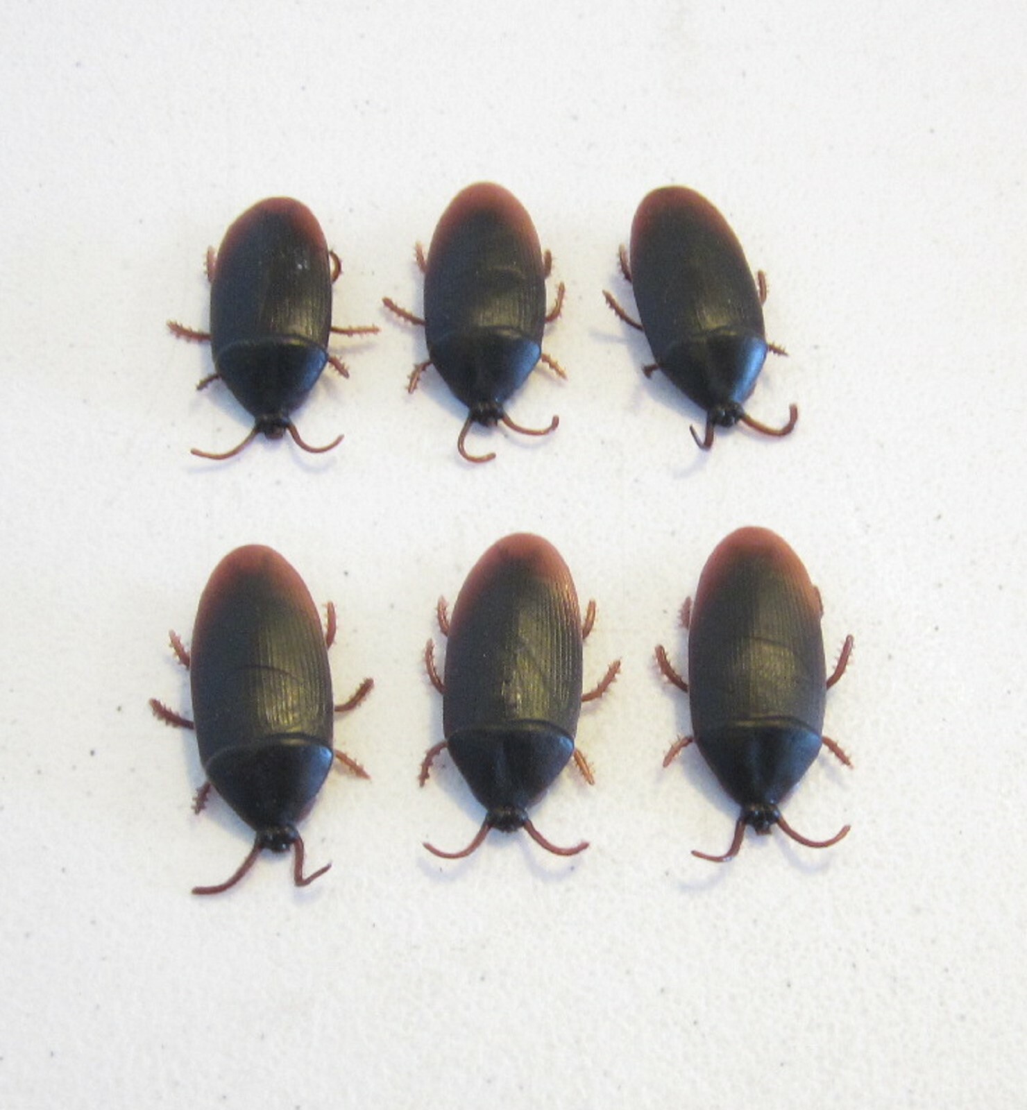 6 REALISTIC FAKE COCKROACHES LARGE CREEPY COCK ROACH BUGS PRANK GAG GIFT