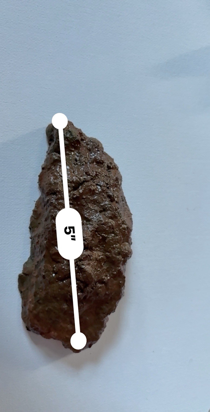 💩⚠️🥳Handmade Fake Turd Prank Prop | Concrete Novelty Gag Gift Poop💩⚠️🥳