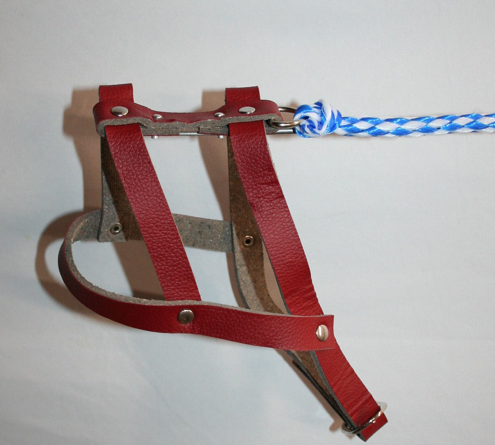 Invisible Dog Leash theatrical stage parade prop joke prank comedy clown fun gag