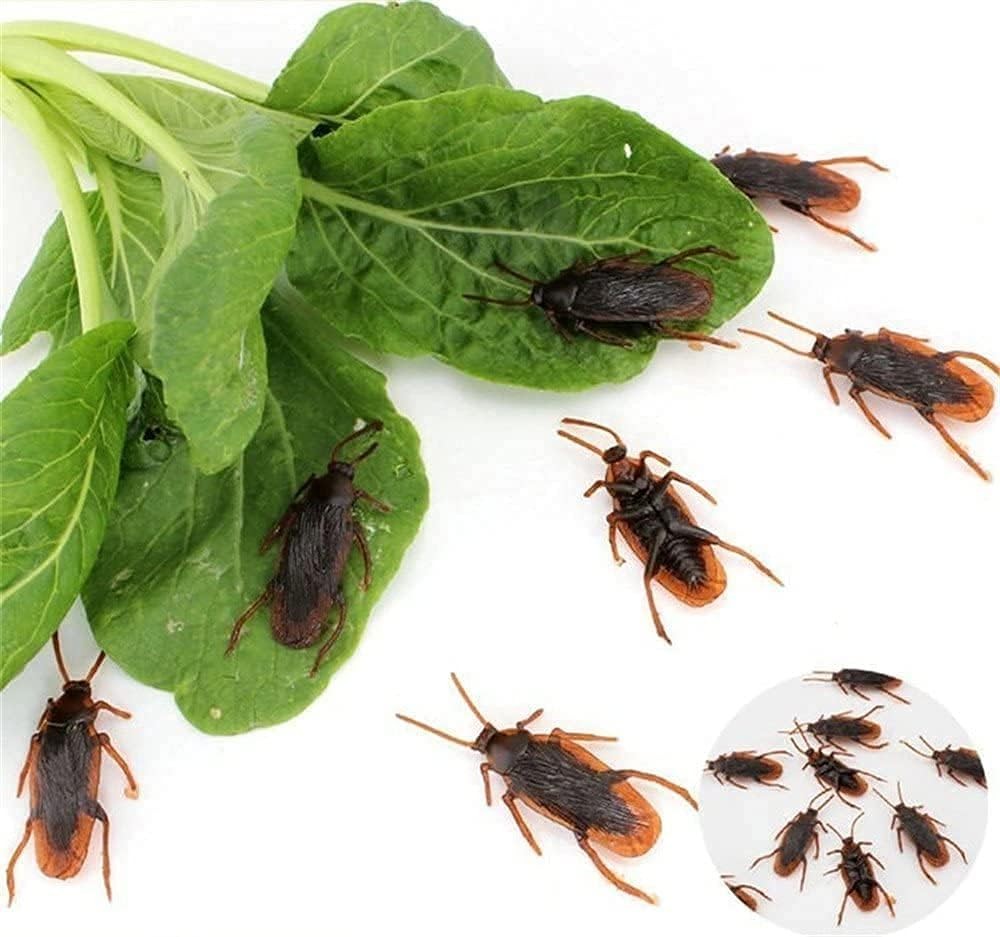 Prank Fake Roaches, Favorite Trick Joke Toys Look Real, Scary Insects Realistic