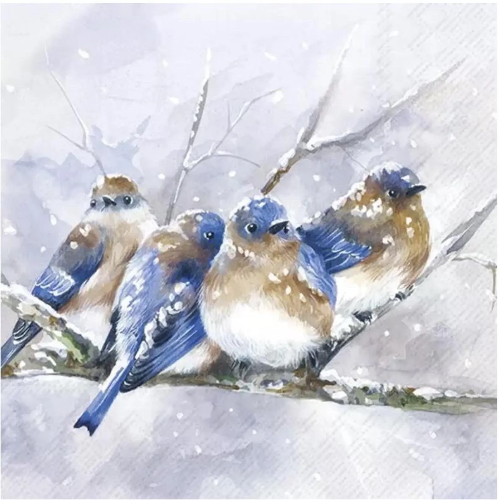 Winter Blue Birds Paper Cocktail Size Napkins Pack of 20 NIP IHR Cuddly Birdies