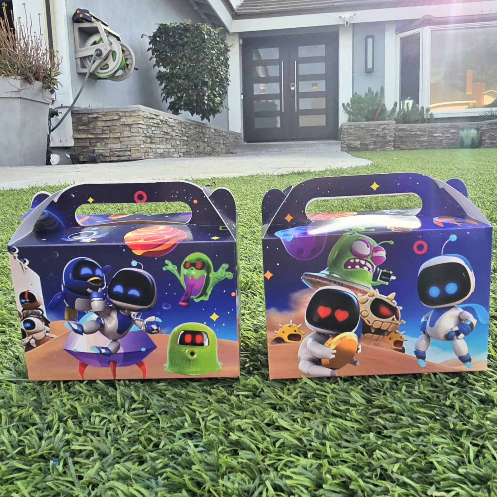 ASTRABOXZ TABLEWARE PARTY SUPPLIES BIRTHDAY DECORATION SUPPLIES