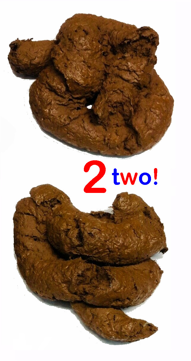 Doggie POOP! (2) * * * Our’s LOOK Real! * * * Made In USA! Gags & Tricks!