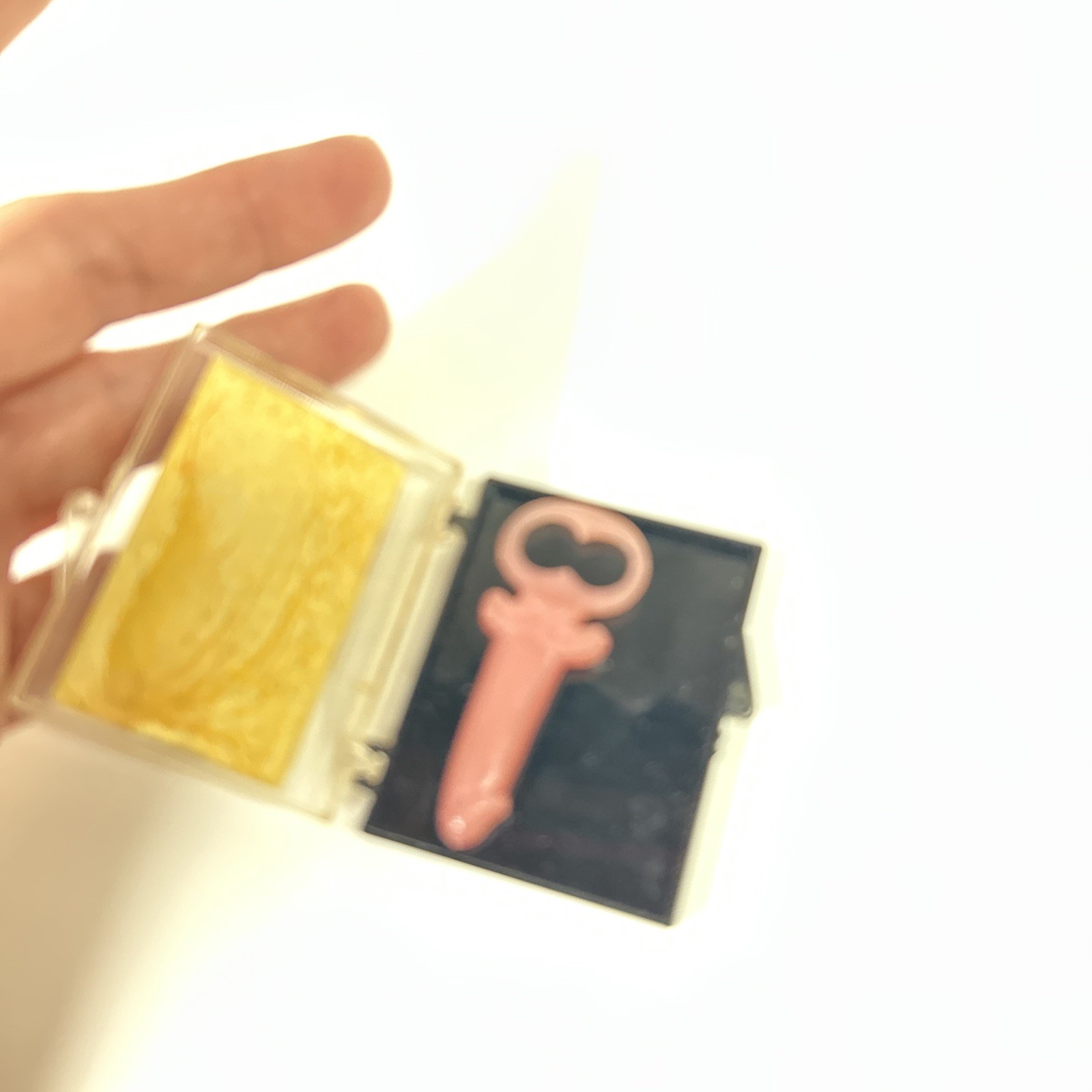 VTG Naughty Adult Gag Gift How To Get In Every Night