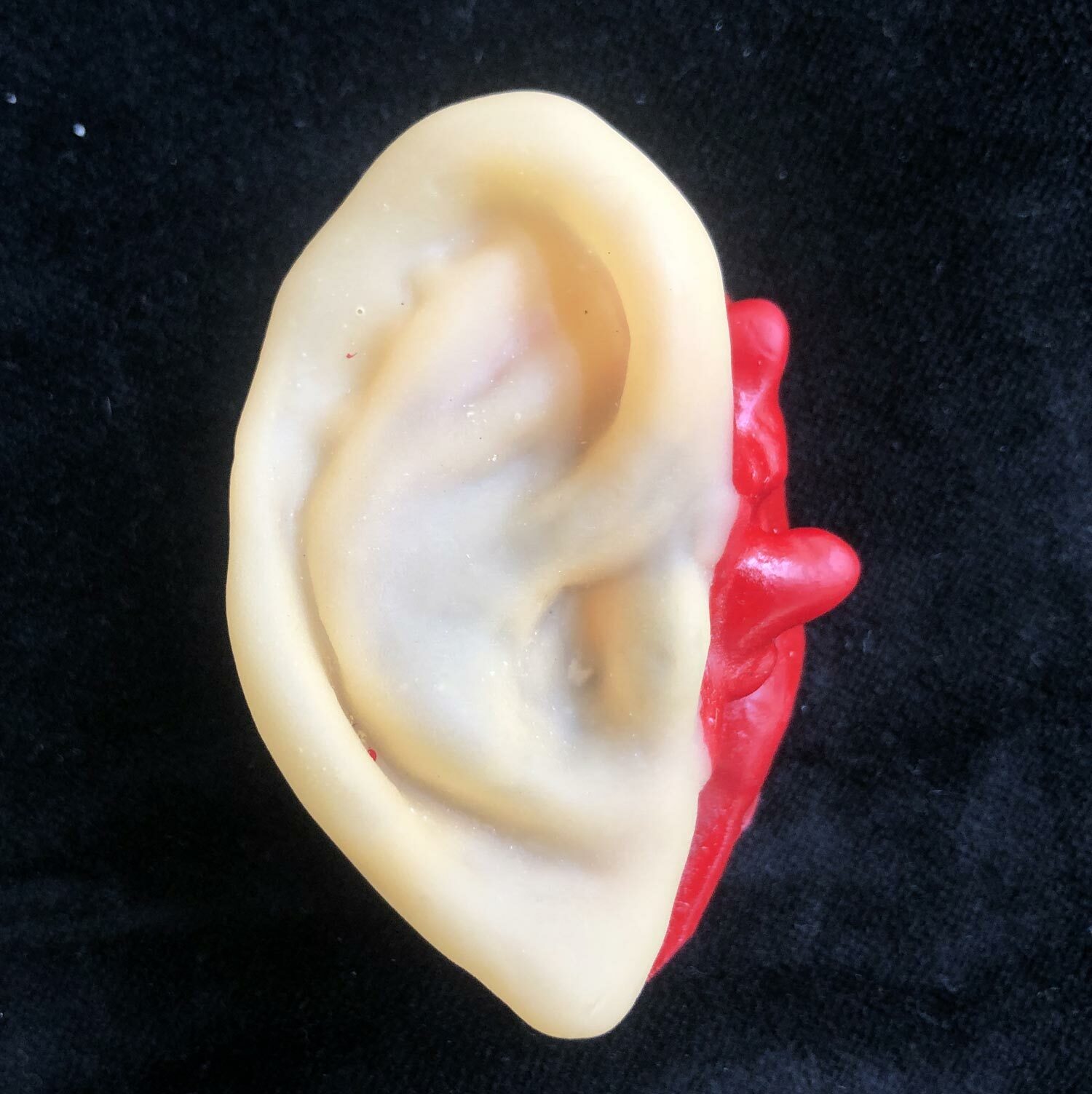 5pc Bloody Body Part Fake HUMAN SEVERED EARS Zombie Hunter Halloween Horror Prop