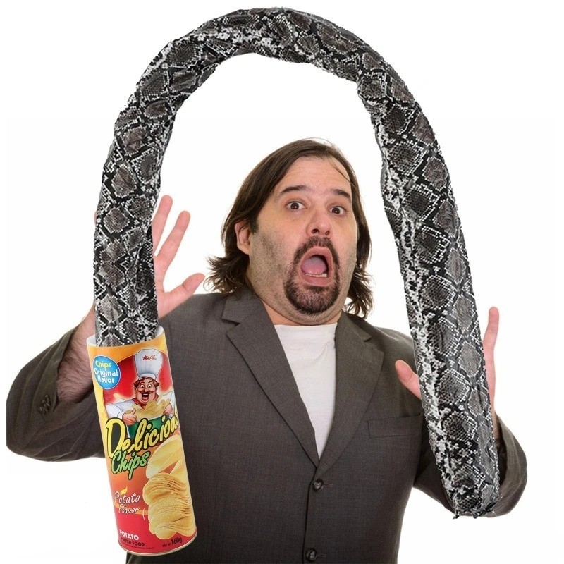 Jumping Snake Prank Can Toy Spring Gag Gift Funny Joke April Fools Halloween