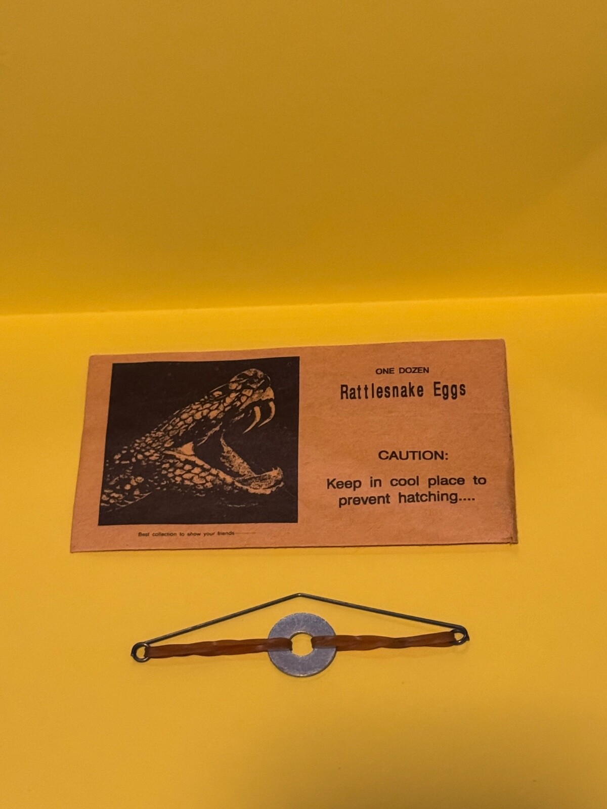 NEW RATTLESNAKE EGGS PRANK GAG GIFT ENVELOPE RATTLE SNAKE EGG JOKE SCARE