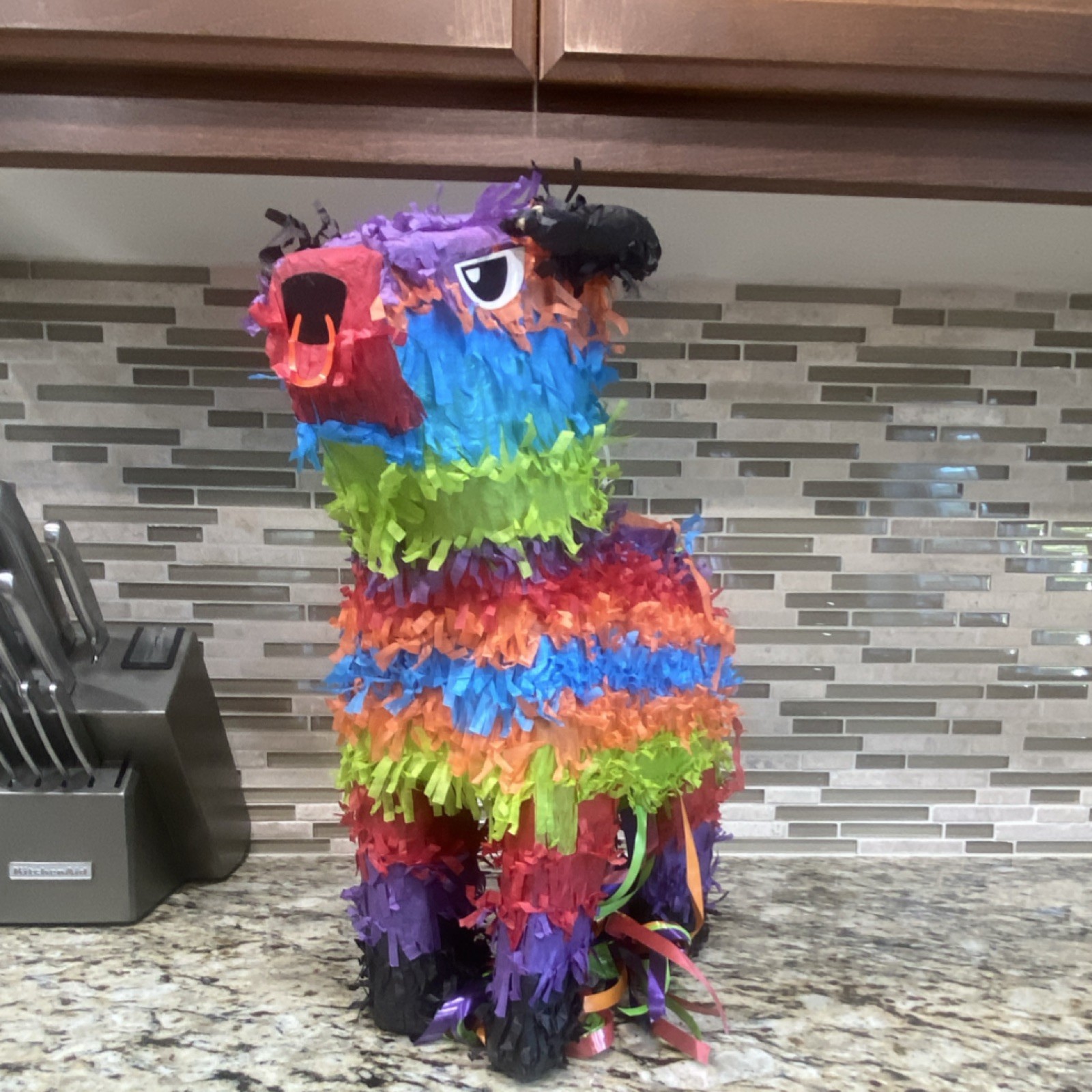 Multicolor Donkey Piñata Animal Theme Party Decoration 2020-Now Rainbow Colorful