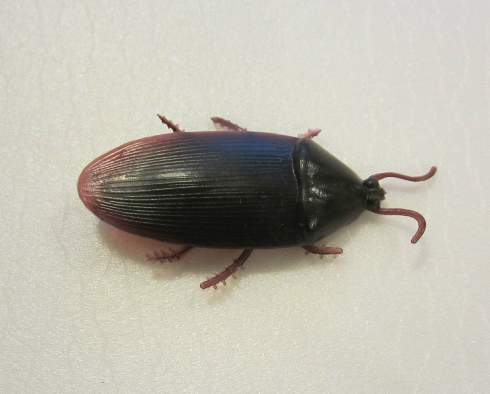 36 REALISTIC FAKE COCKROACHES LARGE CREEPY COCK ROACH BUGS PRANK GAG GIFT