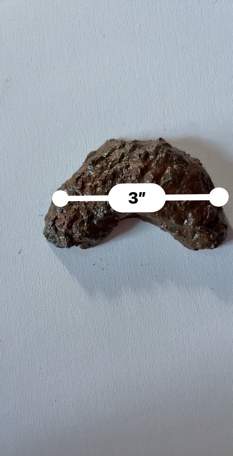 Realistic Fake Poop Concrete Prank Gift – Handmade Custom Joke Gag Turd Novelty