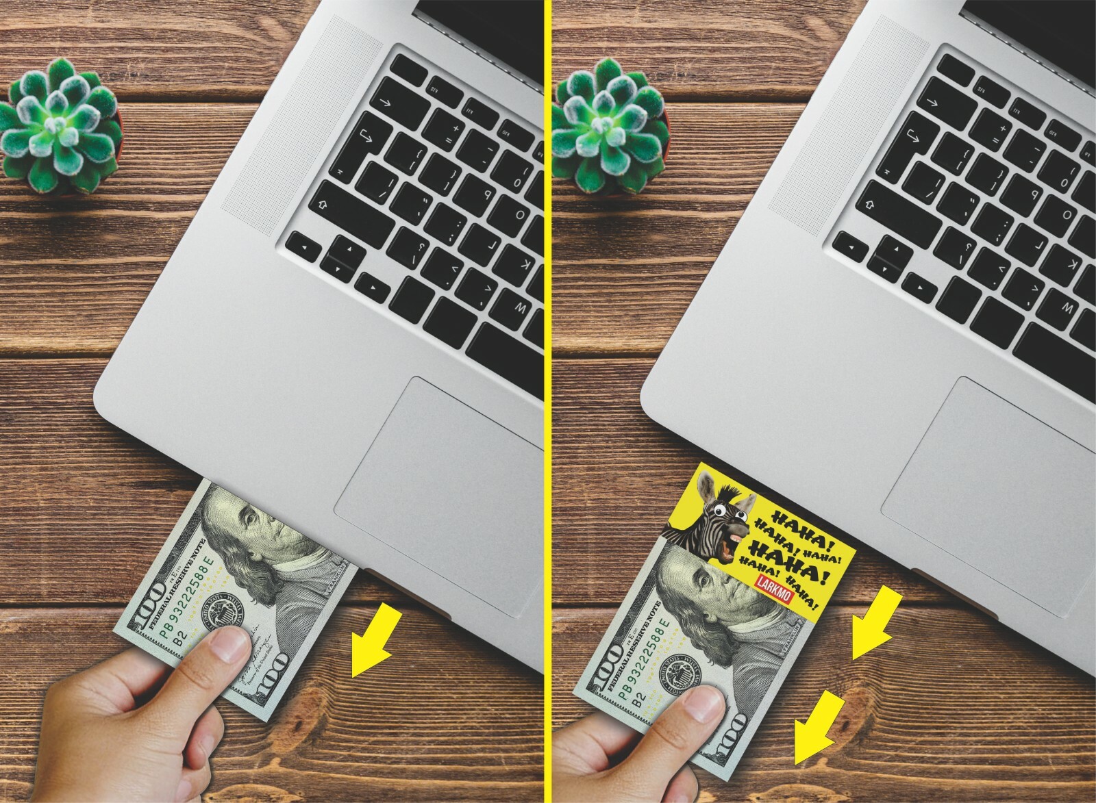 The Pranking Zebra Funny $100 Gag, One Hundred Dollar Bill Joke Office Prank
