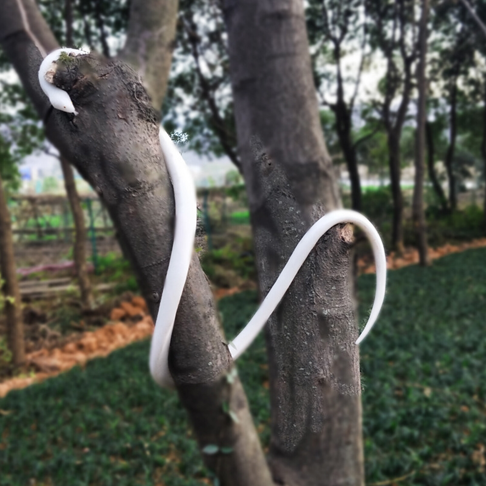 32″/48″/56″ Fake Realistic Snake Lifelike Scary Rubber Toy Prank Party Joke Prop