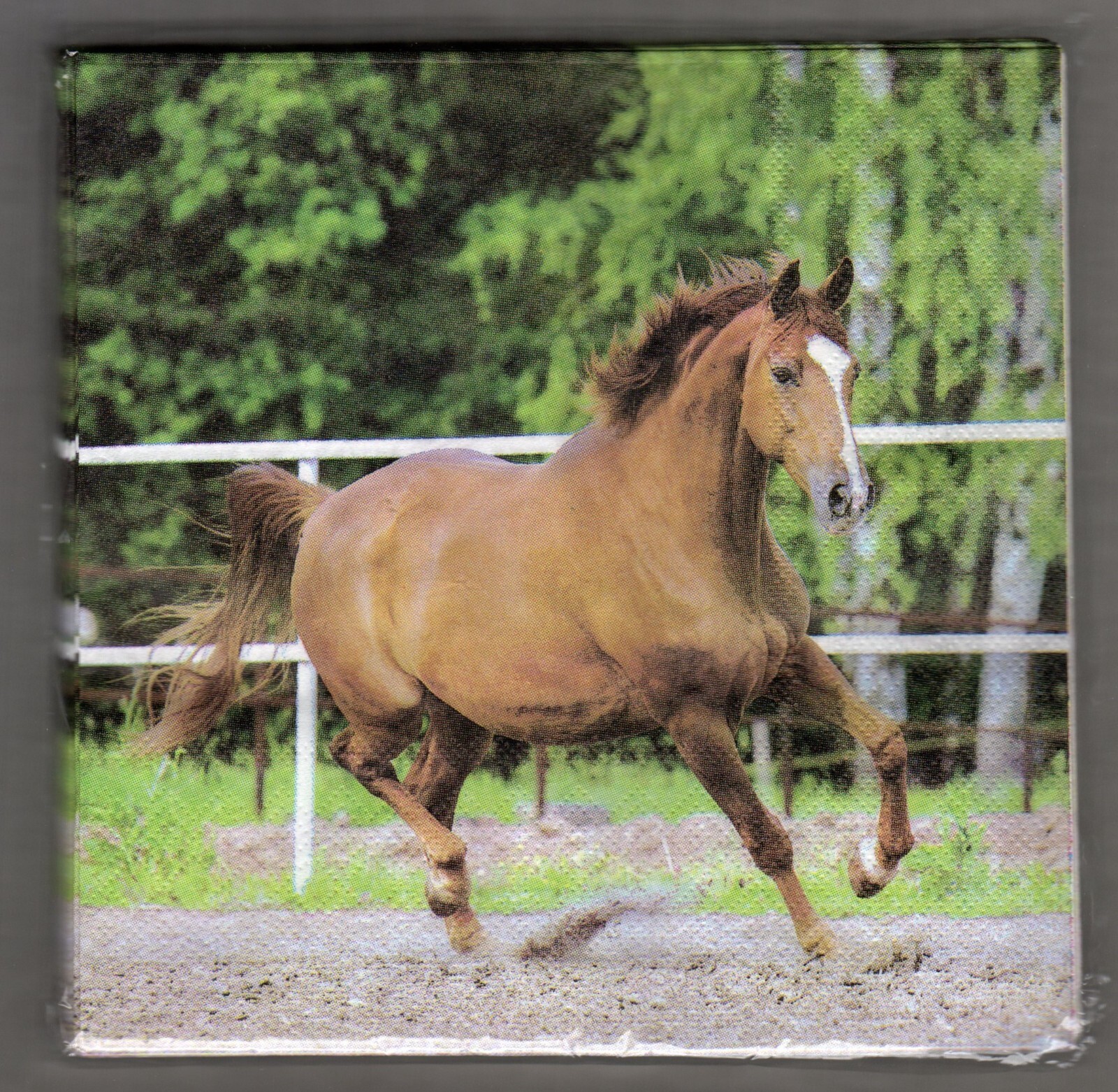 Brown Horse Party Napkins, One Pack, Kentucky Derby, Luncheon Size Any Occasion