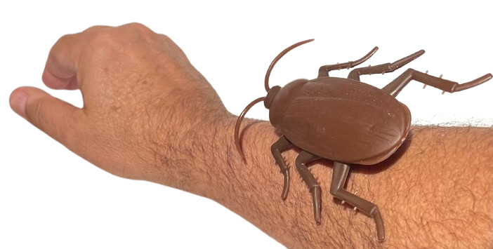 Funny WALKING COCKROACH Jumbo Roach Sticks & Crawls Down Wall Prank Joke Toy Bug
