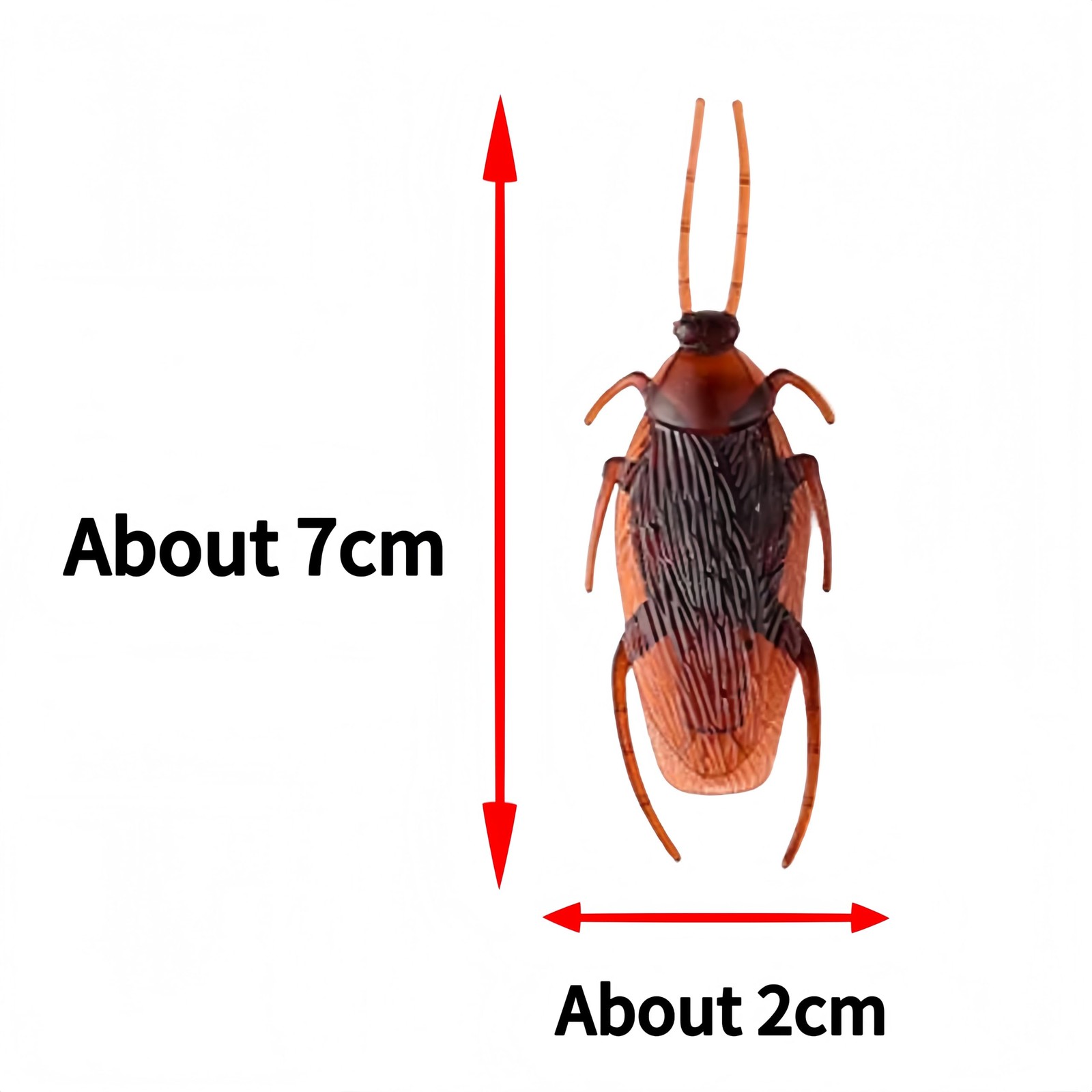 5pcs Realistic Fake Cockroaches for Halloween Prank, Home Decor, Party Props