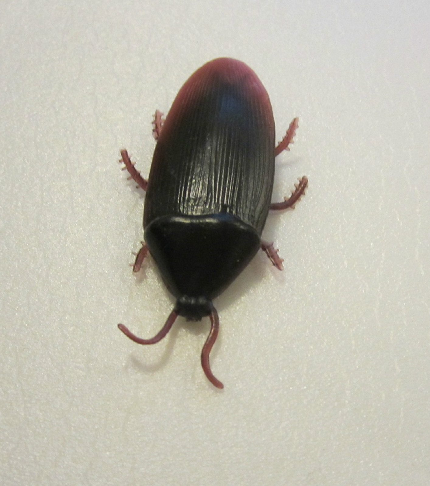 36 REALISTIC FAKE COCKROACHES LARGE CREEPY COCK ROACH BUGS PRANK GAG GIFT