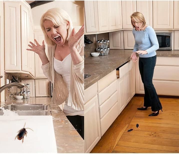Creepy 15PCS Lifelike Fake Cockroaches – Perfect for Hilarious Pranks